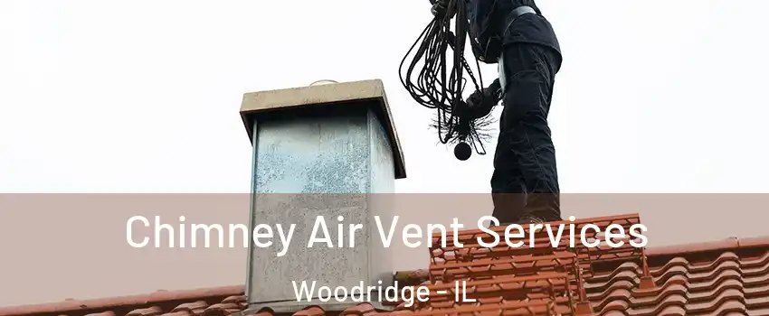  Chimney Air Vent Services Woodridge - IL