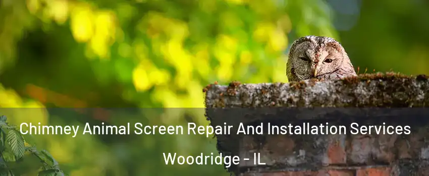  Chimney Animal Screen Repair And Installation Services Woodridge - IL