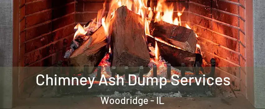  Chimney Ash Dump Services Woodridge - IL