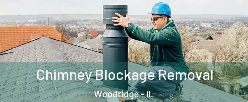  Chimney Blockage Removal Woodridge - IL