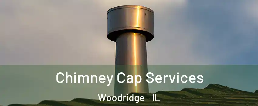  Chimney Cap Services Woodridge - IL