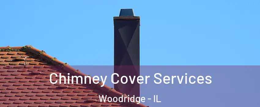  Chimney Cover Services Woodridge - IL