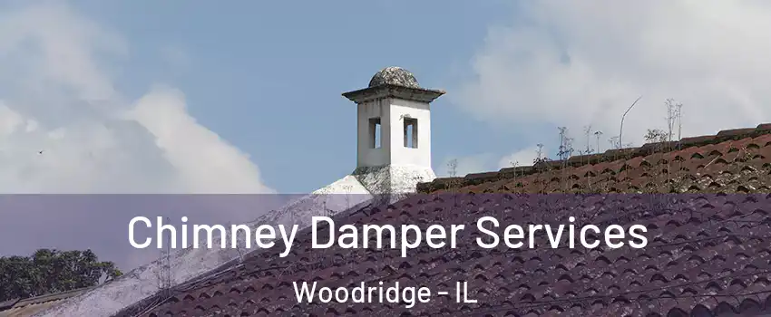  Chimney Damper Services Woodridge - IL