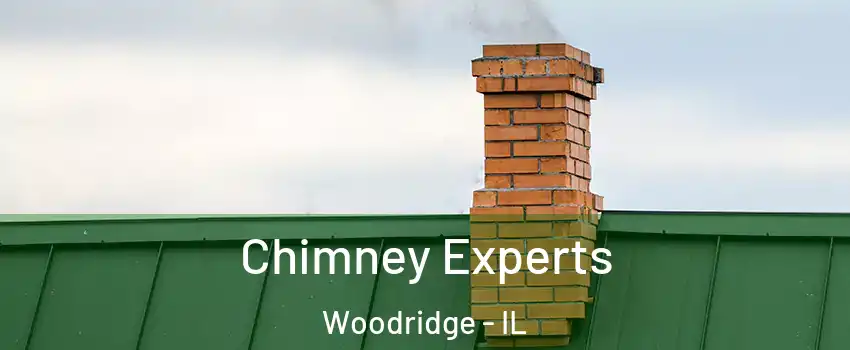  Chimney Experts Woodridge - IL