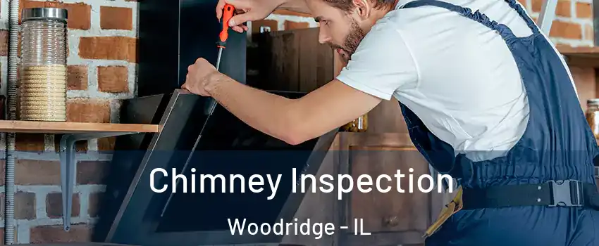  Chimney Inspection Woodridge - IL