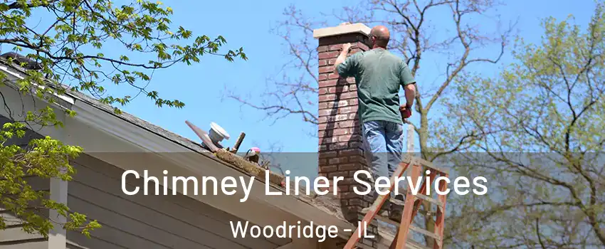 Chimney Liner Services Woodridge - IL