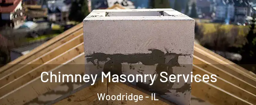  Chimney Masonry Services Woodridge - IL