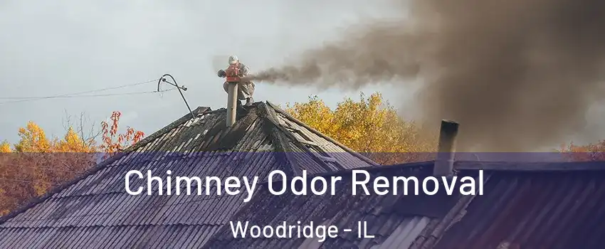  Chimney Odor Removal Woodridge - IL