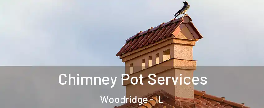 Chimney Pot Services Woodridge - IL