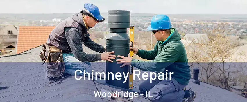  Chimney Repair Woodridge - IL