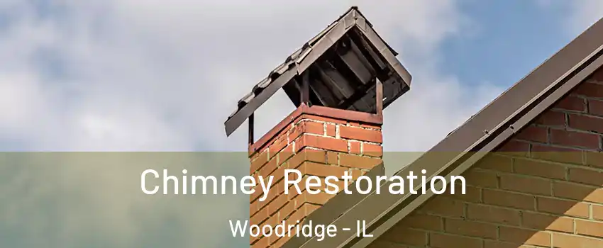  Chimney Restoration Woodridge - IL