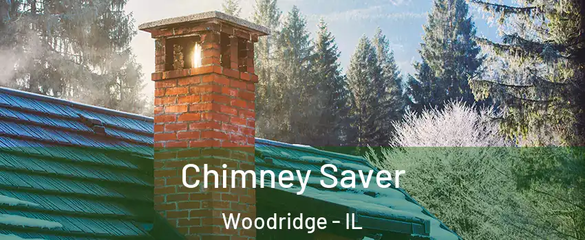  Chimney Saver Woodridge - IL