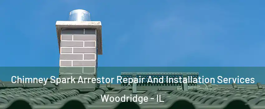  Chimney Spark Arrestor Repair And Installation Services Woodridge - IL