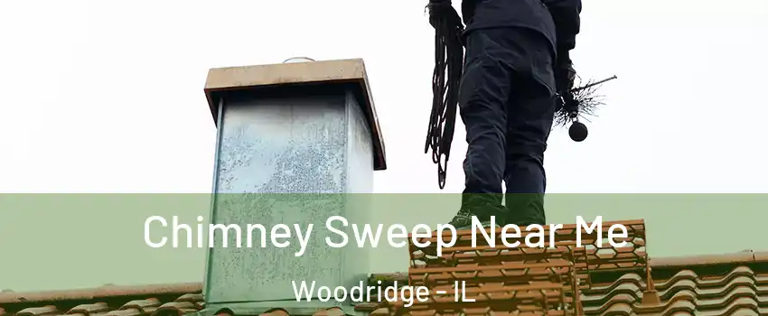  Chimney Sweep Near Me Woodridge - IL