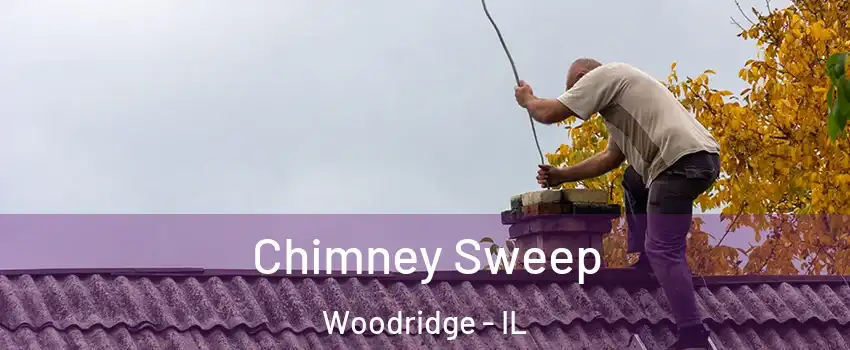  Chimney Sweep Woodridge - IL