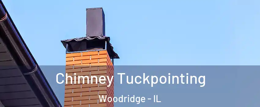  Chimney Tuckpointing Woodridge - IL