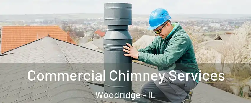  Commercial Chimney Services Woodridge - IL