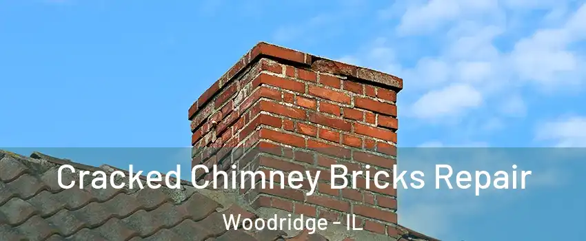  Cracked Chimney Bricks Repair Woodridge - IL