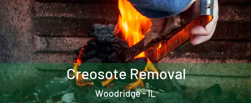  Creosote Removal Woodridge - IL