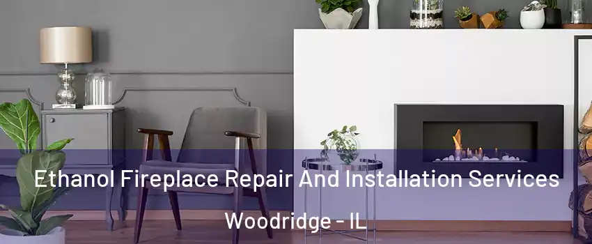  Ethanol Fireplace Repair And Installation Services Woodridge - IL