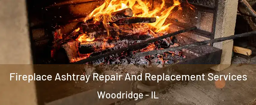  Fireplace Ashtray Repair And Replacement Services Woodridge - IL