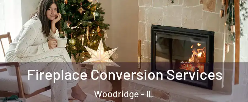  Fireplace Conversion Services Woodridge - IL