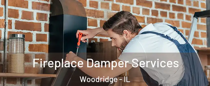  Fireplace Damper Services Woodridge - IL