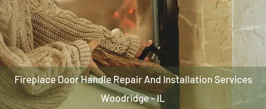  Fireplace Door Handle Repair And Installation Services Woodridge - IL