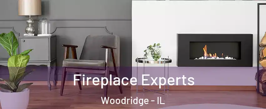  Fireplace Experts Woodridge - IL