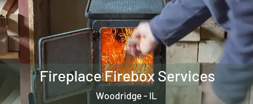  Fireplace Firebox Services Woodridge - IL