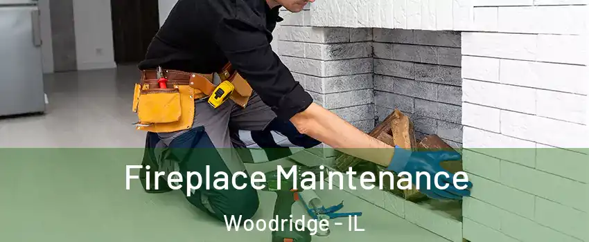  Fireplace Maintenance Woodridge - IL