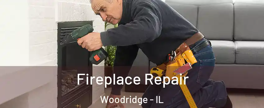  Fireplace Repair Woodridge - IL