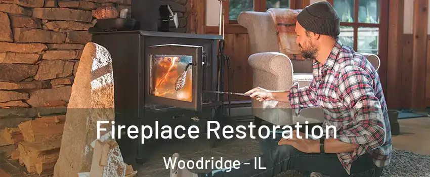  Fireplace Restoration Woodridge - IL