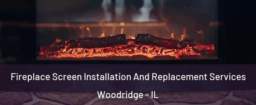  Fireplace Screen Installation And Replacement Services Woodridge - IL