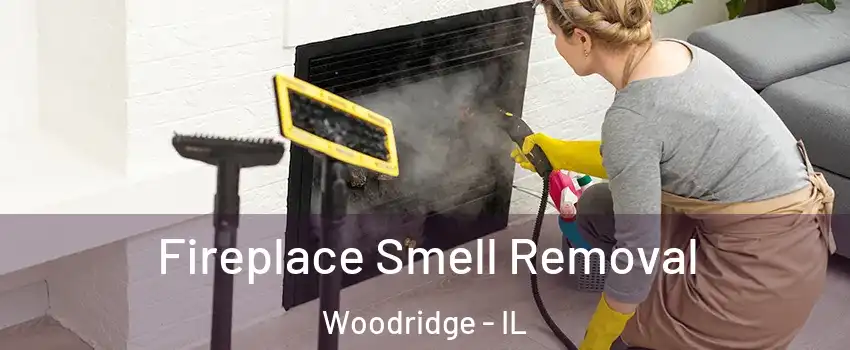  Fireplace Smell Removal Woodridge - IL