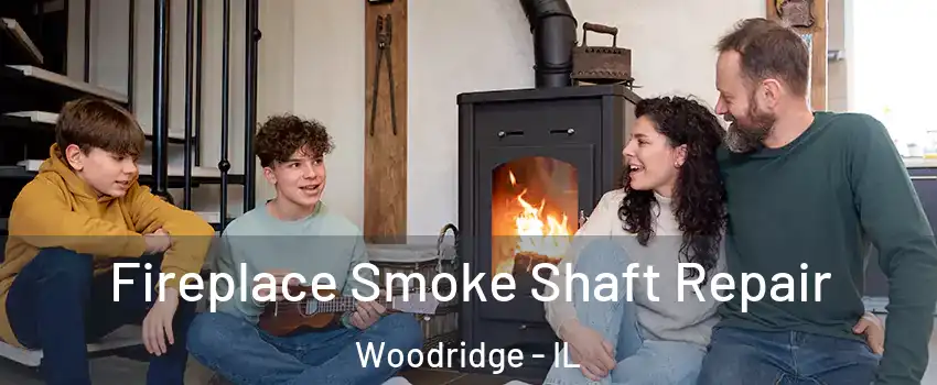  Fireplace Smoke Shaft Repair Woodridge - IL
