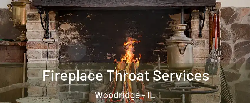  Fireplace Throat Services Woodridge - IL