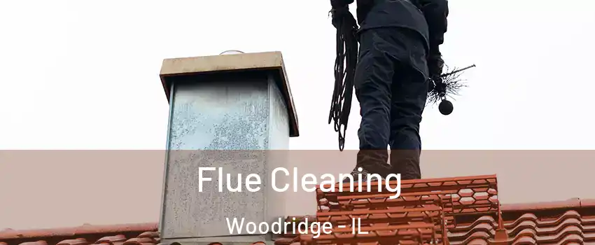  Flue Cleaning Woodridge - IL