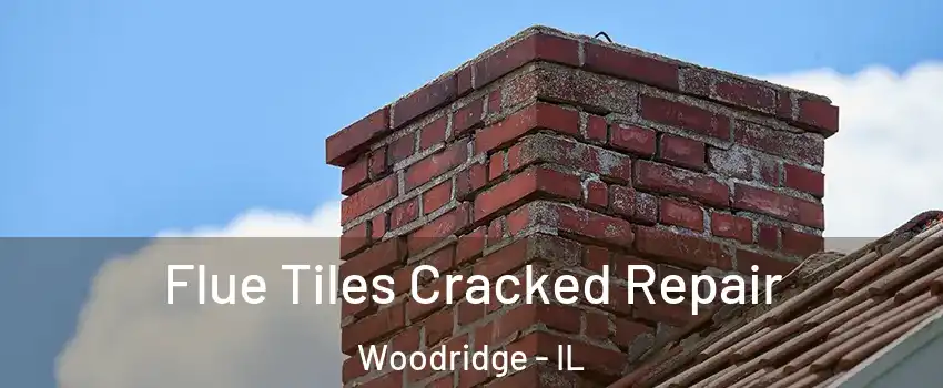  Flue Tiles Cracked Repair Woodridge - IL