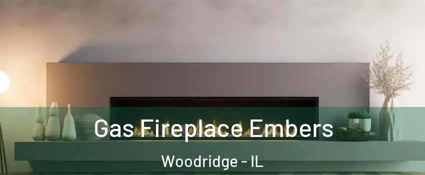 Gas Fireplace Embers Woodridge - IL