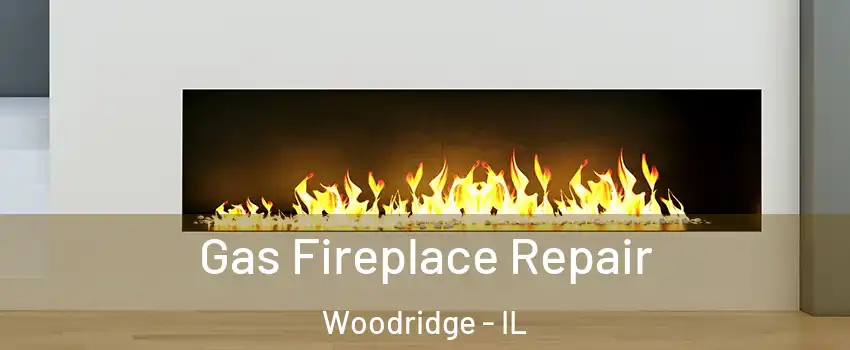  Gas Fireplace Repair Woodridge - IL