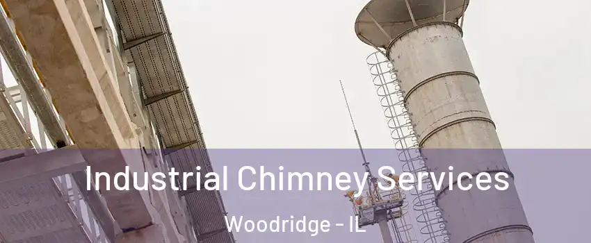  Industrial Chimney Services Woodridge - IL
