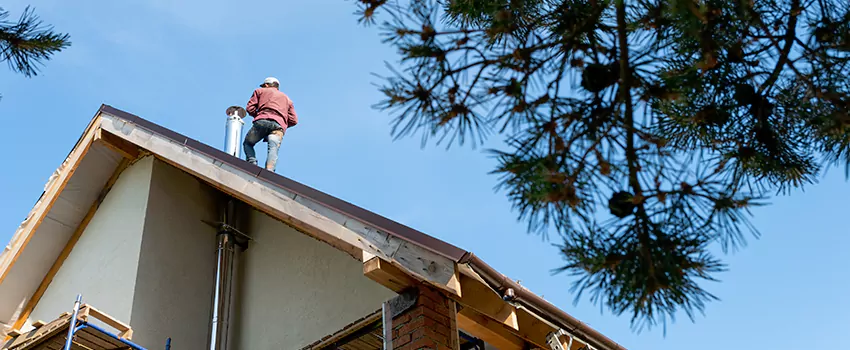 Birds Removal Contractors from Chimney in Woodridge, IL