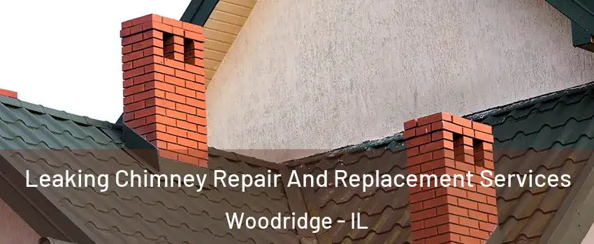  Leaking Chimney Repair And Replacement Services Woodridge - IL