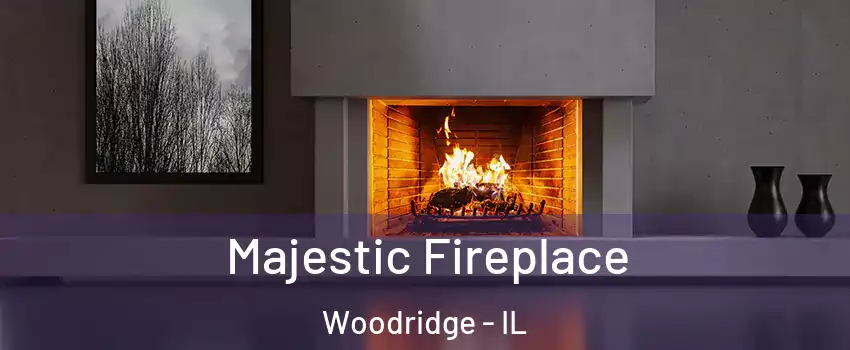  Majestic Fireplace Woodridge - IL