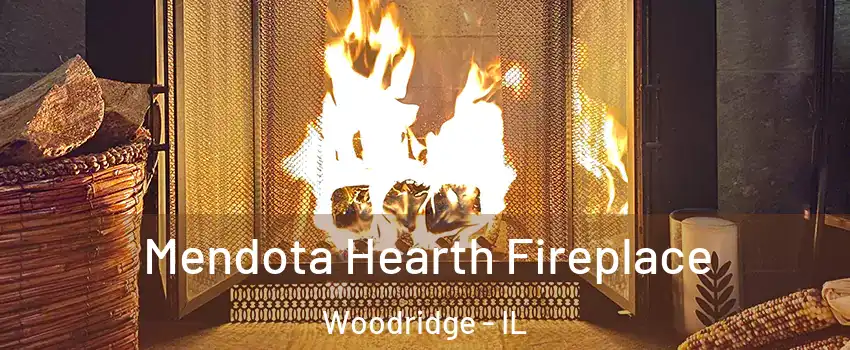  Mendota Hearth Fireplace Woodridge - IL