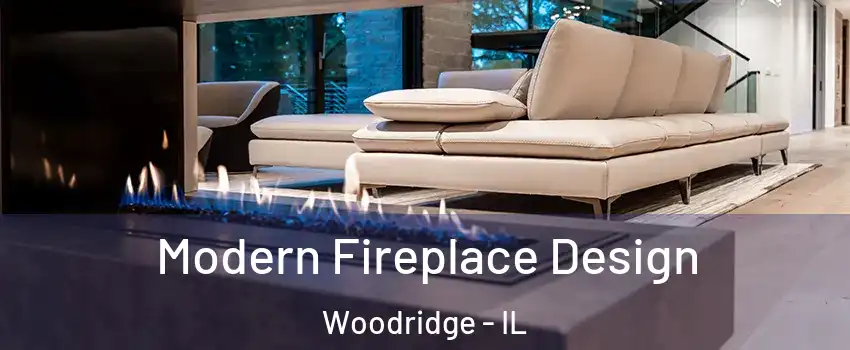  Modern Fireplace Design Woodridge - IL