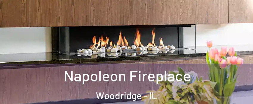  Napoleon Fireplace Woodridge - IL
