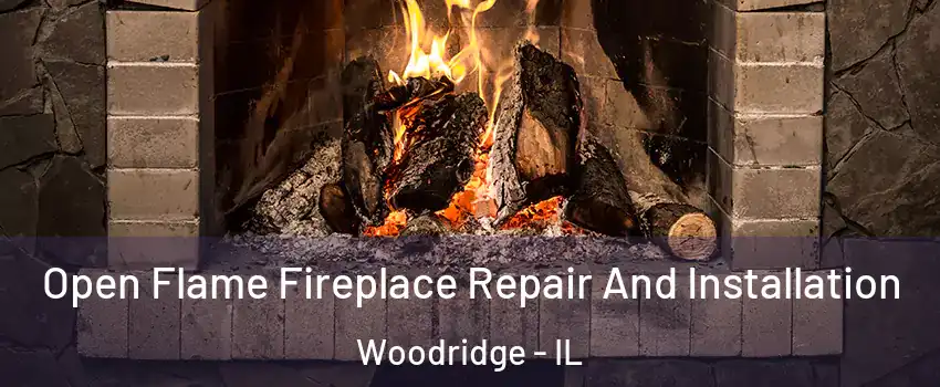  Open Flame Fireplace Repair And Installation Woodridge - IL