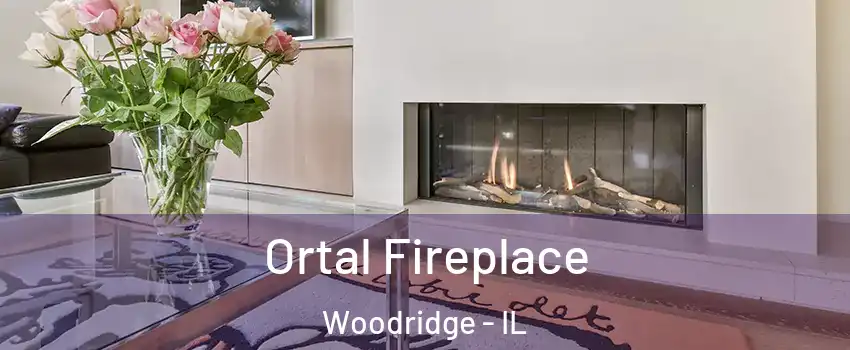  Ortal Fireplace Woodridge - IL